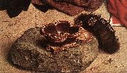 Monforte Altarpiece (detail) GOES, Hugo van der